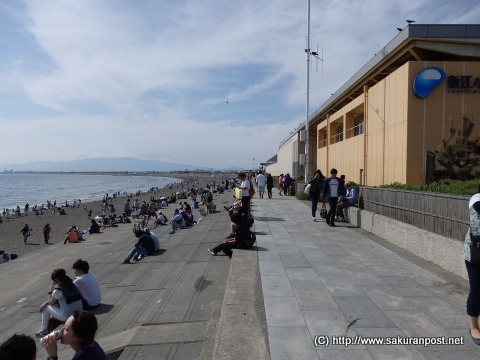 新江ノ島水族館裏手