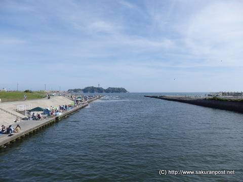 引地川河口