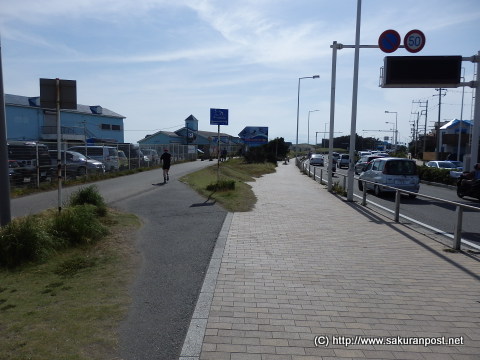 鵠沼海浜公園とサイクリングロード