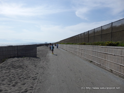 海岸線沿いのサイクリングロード