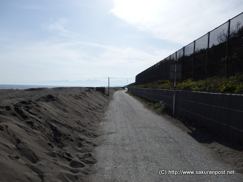 湘南海岸サイクリングロード