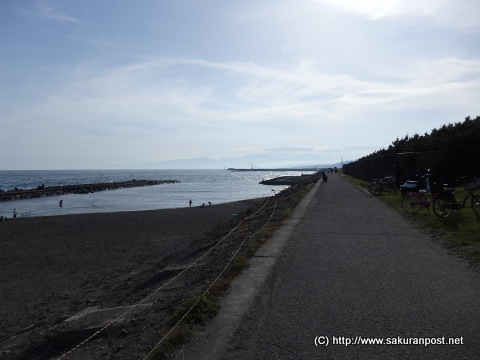 相模川河口付近(馬入)