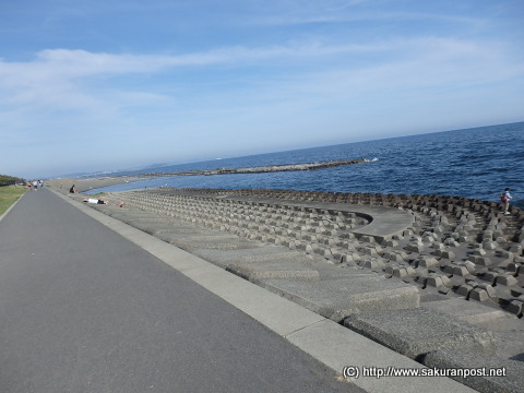 相模川河口サイクリングロード